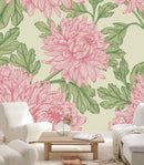 Chrysanthemums Wallpaper