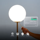 Polaris Floor Lamp