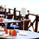 Poldina Cordless Rechargeable LED Table Lamp