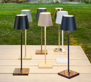 Poldina Cordless Rechargeable LED Table Lamp