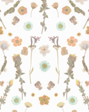 Pressed Fresh Version 02 Wallpaper, peach and mint