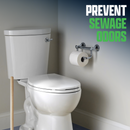 Septic Tank Treatment Packs