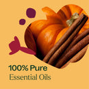 Pumpkin Spice Essential Oil Blend