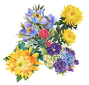 Summer Floral Bouquet Wallpaper
