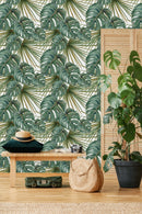 Monstera Leaves Wallpaper