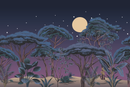 Night Landscape Wallpaper