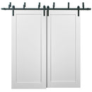 Quadro 4111 White Silk Double Barn Door | Black Bypass Rails
