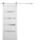 Quadro 4113 White Silk Barn Door with Frosted Glass and Silver Finish Rail