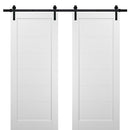 Quadro 4115 Matte White Double Barn Door | Black Rail