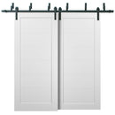 Quadro 4115 Matte White Double Barn Door | Black Bypass Rails