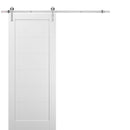 Quadro 4115 White Silk Barn Door and Silver Finish Rail