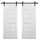 Quadro 4117 Matte White Double Barn Door with Frosted Glass | Black Rail