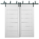 Quadro 4117 Matte White Double Barn Door with Frosted Glass | Black Bypass Rails