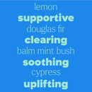 Quiet Cough® Essential Oil Blend