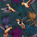 Hummingbird on Dark Wallpaper
