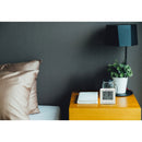 Compact Radio Controlled Alarm Clock