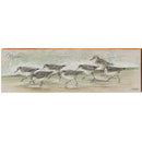 Naples Art Lamay Sand Pipers | Wall Art Print on Real Wood