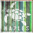 Naples Sea Turtle Coastal Green Boards | Wall Art Print on Real Wood