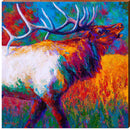 Colorful Elk | Wall Art Print on Real Wood