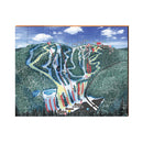 Blue Mountain Ski Slopes Sign | Home Wall Art Print on Real Wood