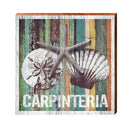 Carpinteria Triple Shells Orange Boards | Real Wood Wall Art Print ROX2