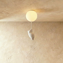 Up Ceiling Light