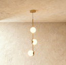 Baer Pendant Light