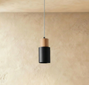 Nouveau Pendant Light