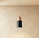 Nouveau Pendant Light
