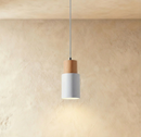 Nouveau Pendant Light