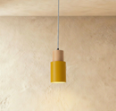 Nouveau Pendant Light