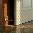 Pesu Door Stop