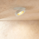 Simon Downlight