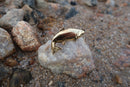 Rainbow Trout Gold Lapel Pin