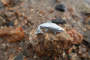 Rainbow Trout Lapel Pin
