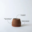 The Rancho Planter