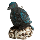 Raven