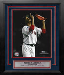 Pedro Martinez Sky Point 2004 World Series Boston Red Sox 11" x 14" Framed Baseball Photo