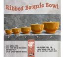 Bonsai Pot with Drainage & Tray