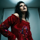 Rio Grande Embroidered Velvet Tunic Dress in Red [Size SM & 2X Remaining]