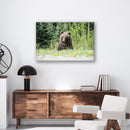 Roadside Bear - Print