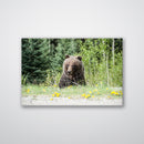 Roadside Bear - Print