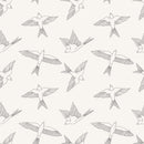 Robin Wallpaper