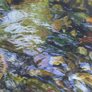 Rocky River 7 - Open Edition Canvas Print