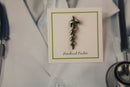Rod of Asclepius Lapel Pin