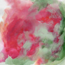 Rose Cascade - Open Edition Canvas Print