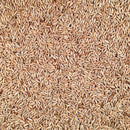 Organic Rye | 25 lb | Pack of 2 | Non-GMO | Shipping Included | Grain Place Foods