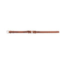 Topside Dog Collar in Chocolate