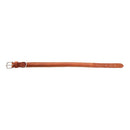 Rio Correr Dog Collar in Caramel