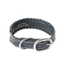 Running Wind Dog Collar In Black